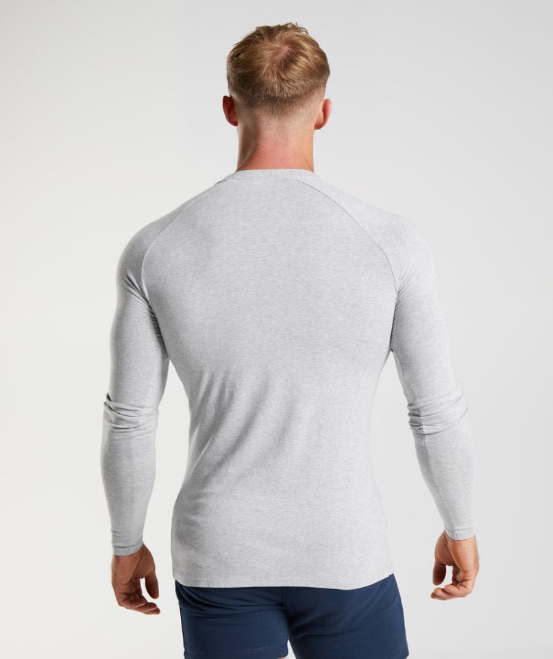 Men's Gymshark Apollo Long Sleeve T-Shirts Light Grey | CA N57860